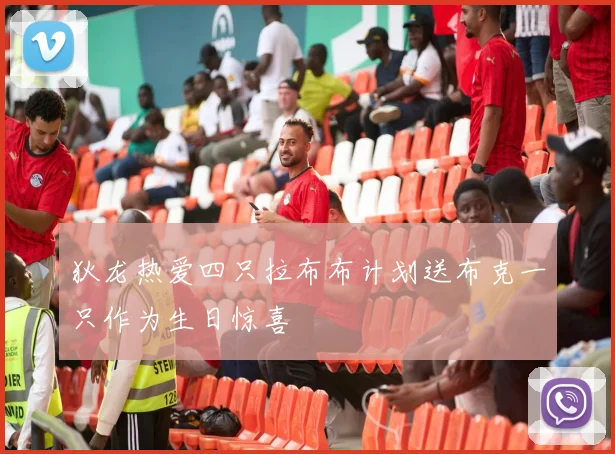 狄龙热爱四只拉布布计划送布克一只作为生日惊喜