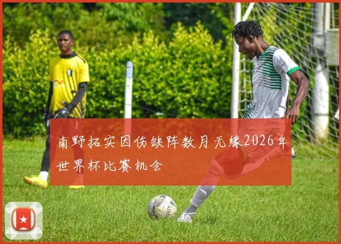 南野拓实因伤缺阵数月无缘2026年世界杯比赛机会