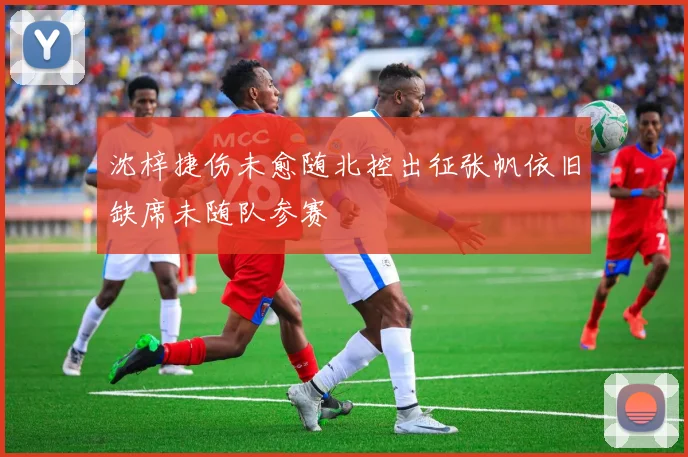 沈梓捷伤未愈随北控出征张帆依旧缺席未随队参赛