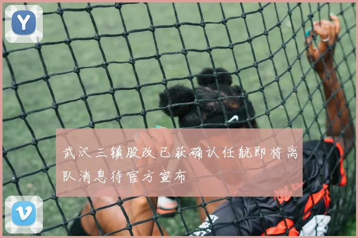 武汉三镇股改已获确认任航即将离队消息待官方宣布
