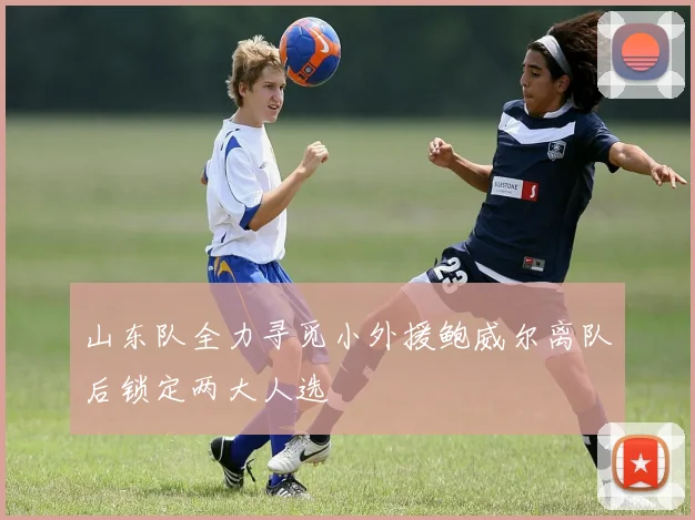 山东队全力寻觅小外援鲍威尔离队后锁定两大人选